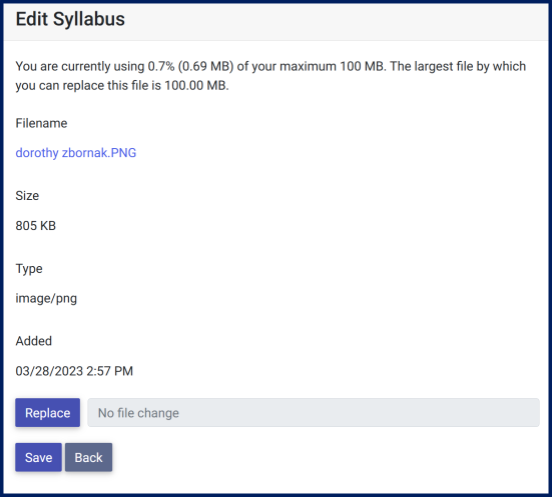 The Edit Syllabus block shows statistics about the existing file, including its file size. At the bottom of the block, users can select to Replace the file and then Save or Back.